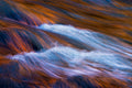 Angel's Hair Poster och Canvastavla