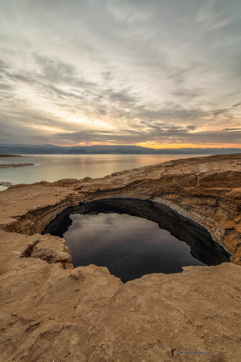 The Dead Sea Swallow Poster och Canvastavla