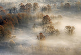foggy landscape Poster och Canvastavla