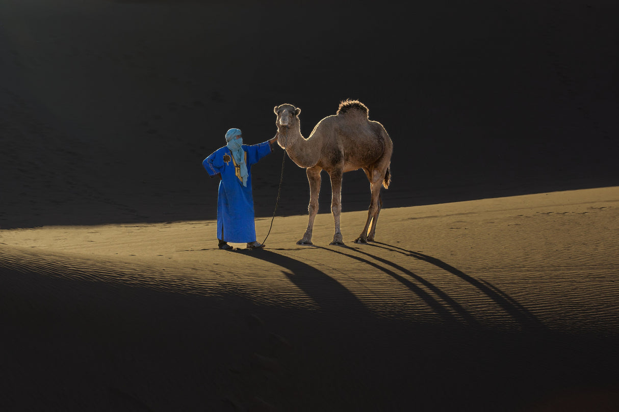 one afternoon in the dessert Poster och Canvastavla