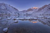 Winter Beauty Poster och Canvastavla