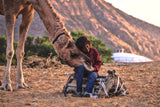 Pushkar festival 2017 Poster och Canvastavla