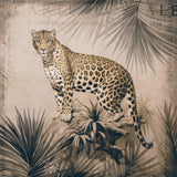 Cheetahs Tropical Jungle Monochrome Poster och Canvastavla