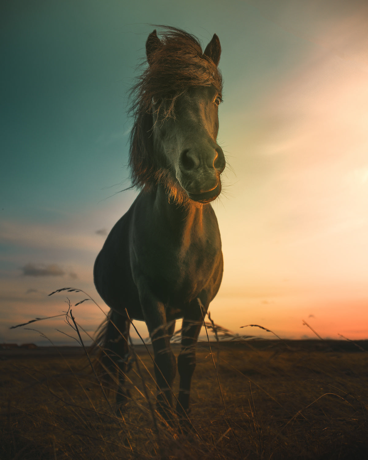 Sunset Poster och Canvastavla