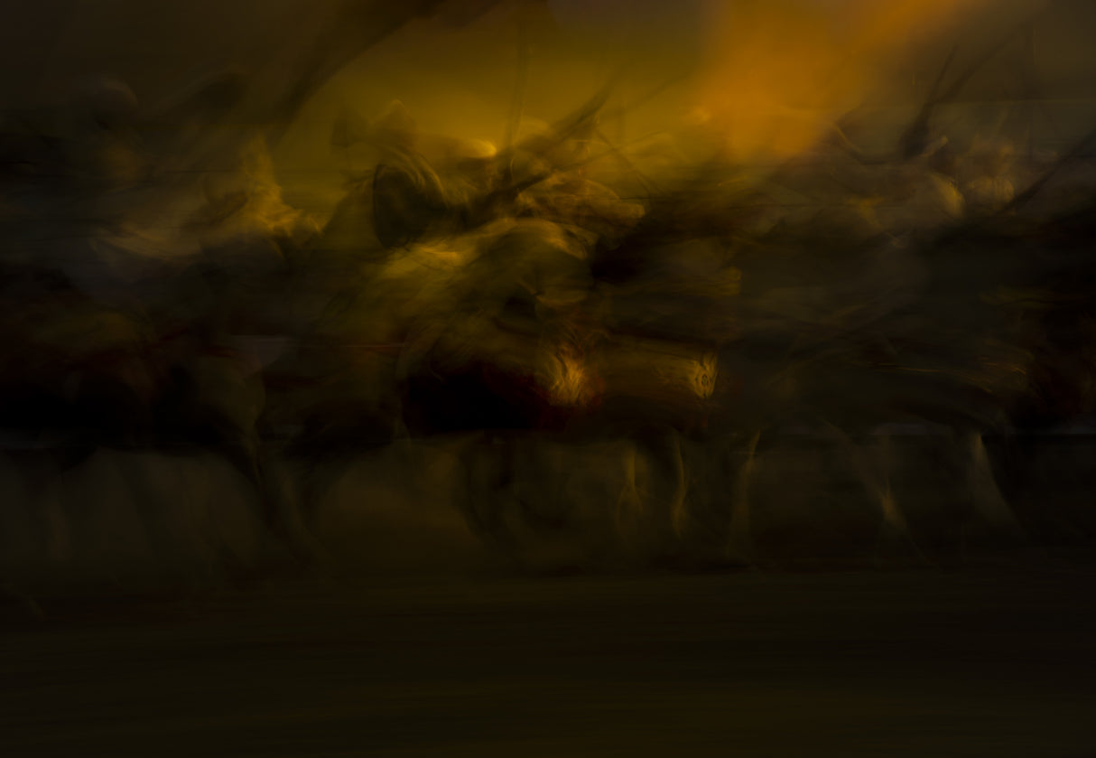dark mood Poster och Canvastavla