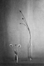Everything changes Poster och Canvastavla
