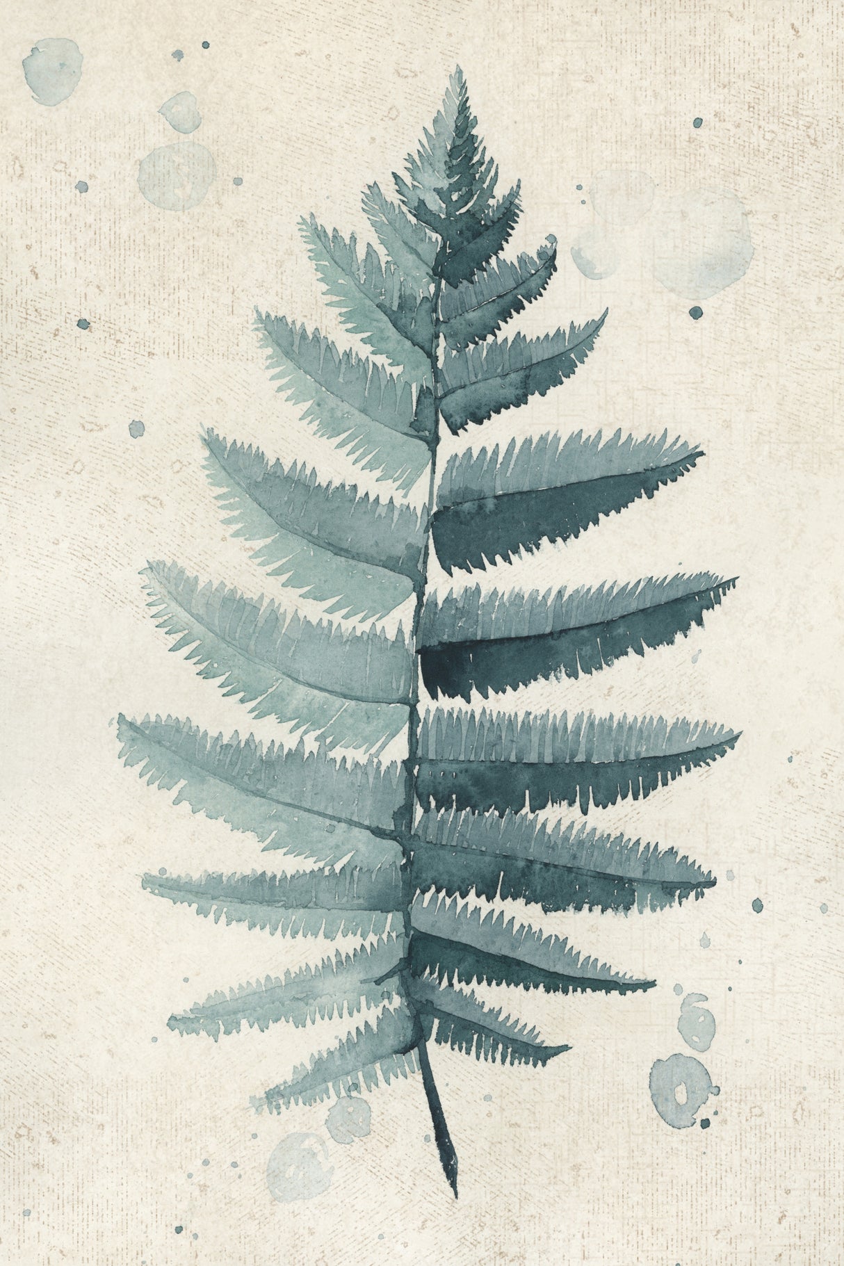 Teal watercolor fern 6 Poster och Canvastavla