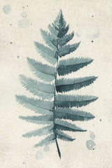 Teal watercolor fern 6 Poster och Canvastavla
