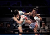 Fighters Poster och Canvastavla
