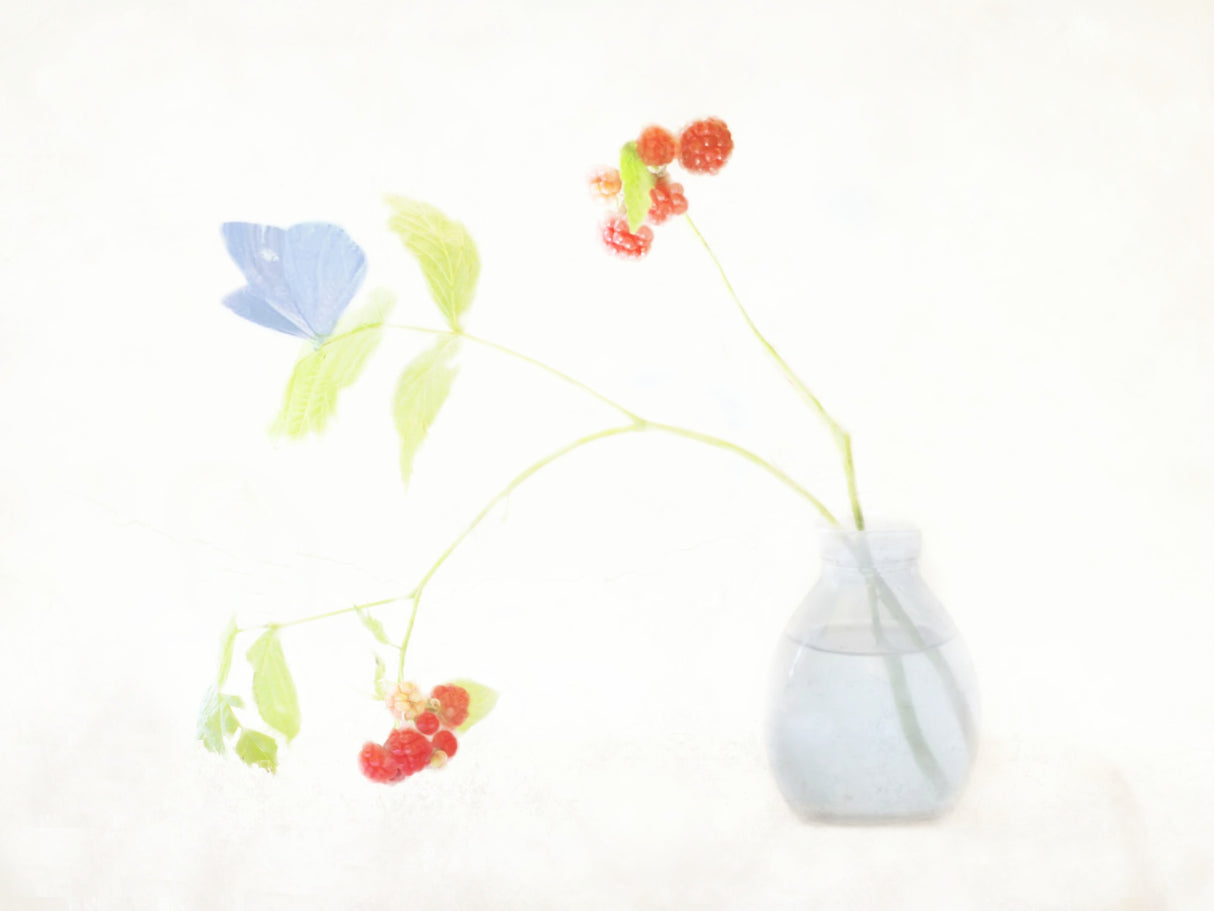 Botanic Poster och Canvastavla
