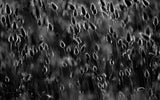 Just as drops of light Poster och Canvastavla