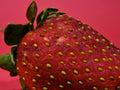 Strawberry isolated on red background Poster och Canvastavla