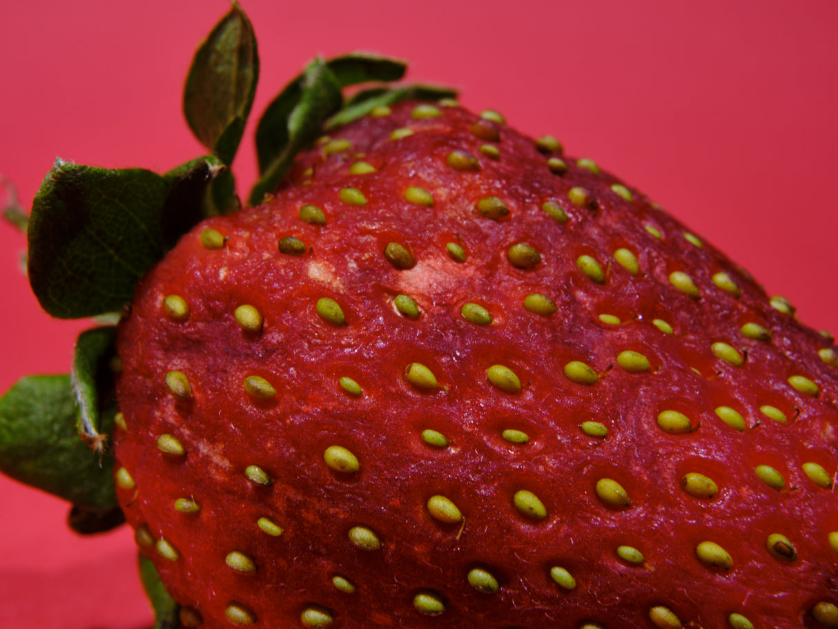 Strawberry isolated on red background Poster och Canvastavla