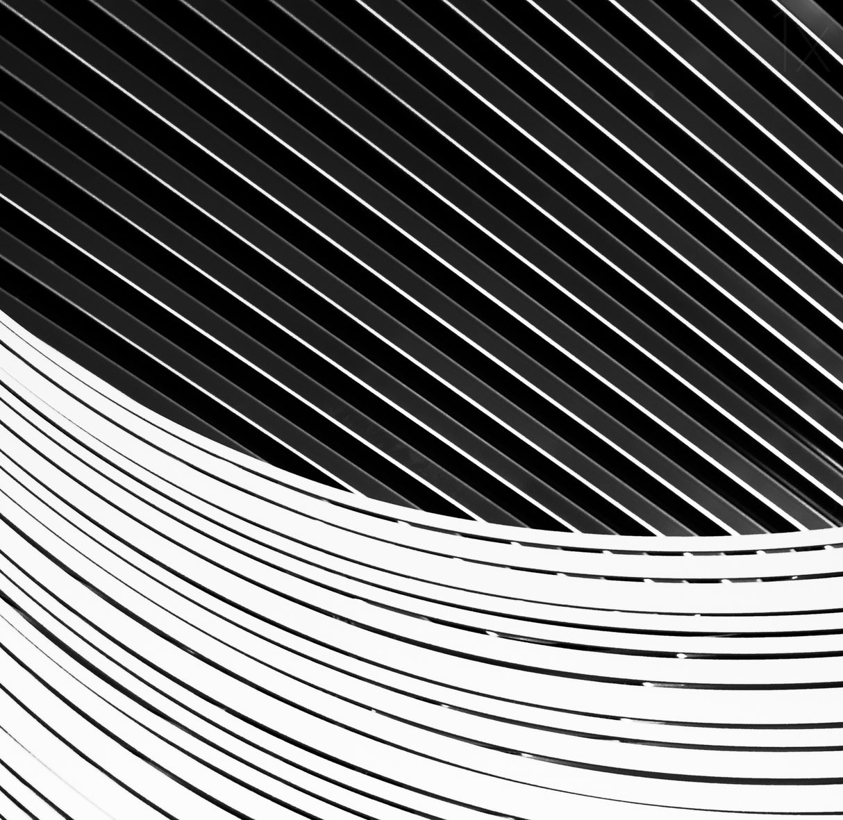Straight and curved Poster och Canvastavla