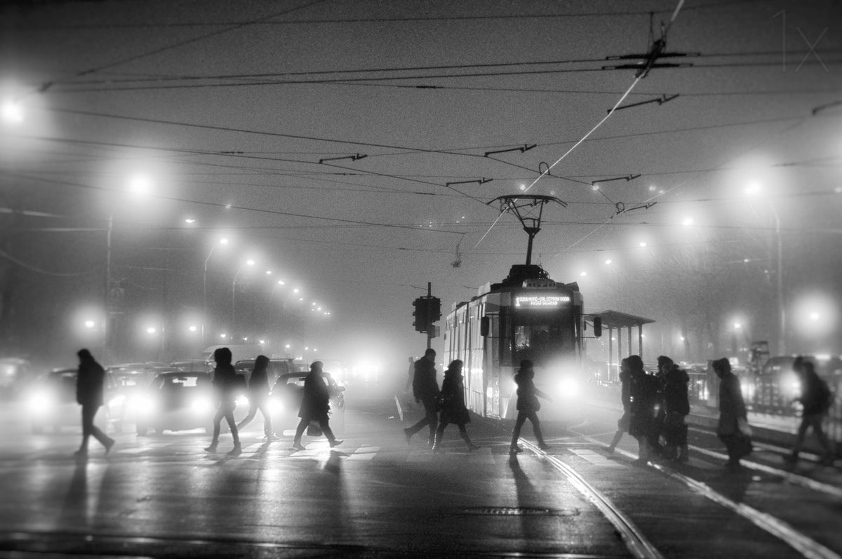In the mist Poster och Canvastavla