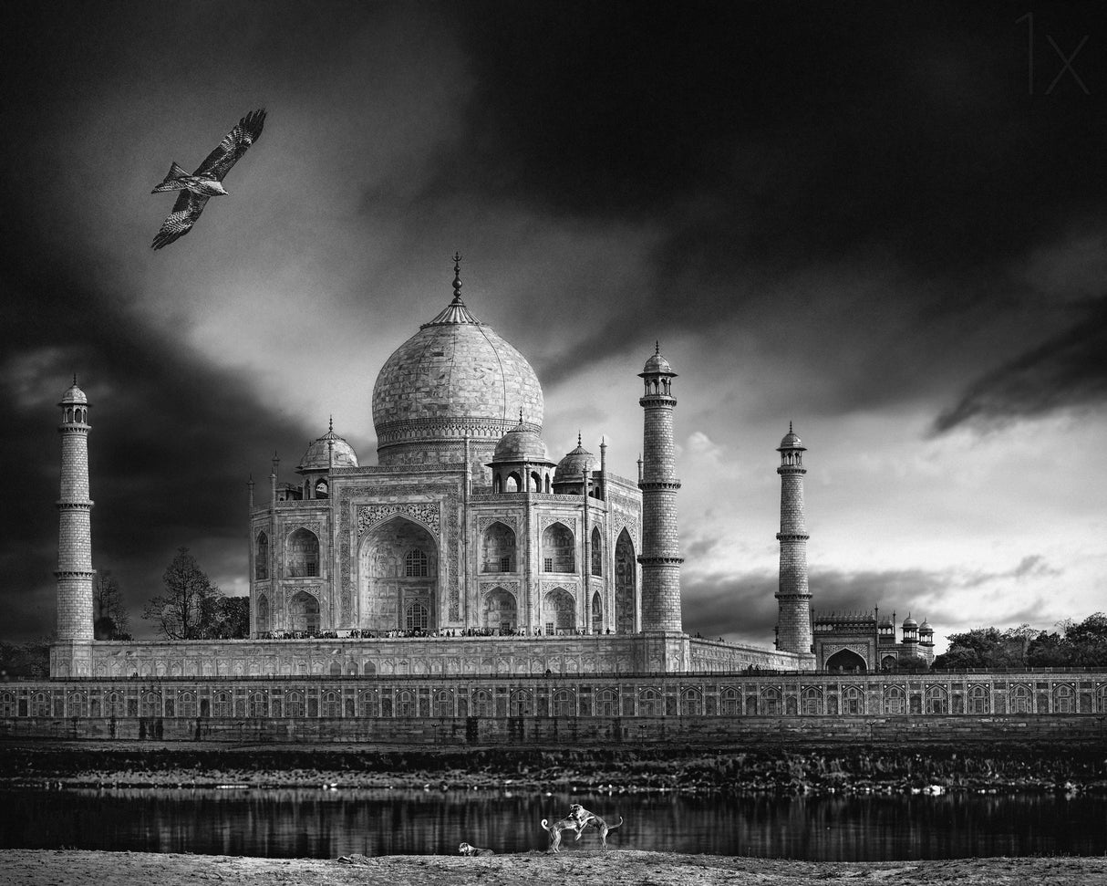the banks of the Jamuna river Poster och Canvastavla
