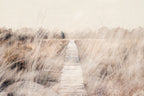 Dreamy landscape Poster och Canvastavla