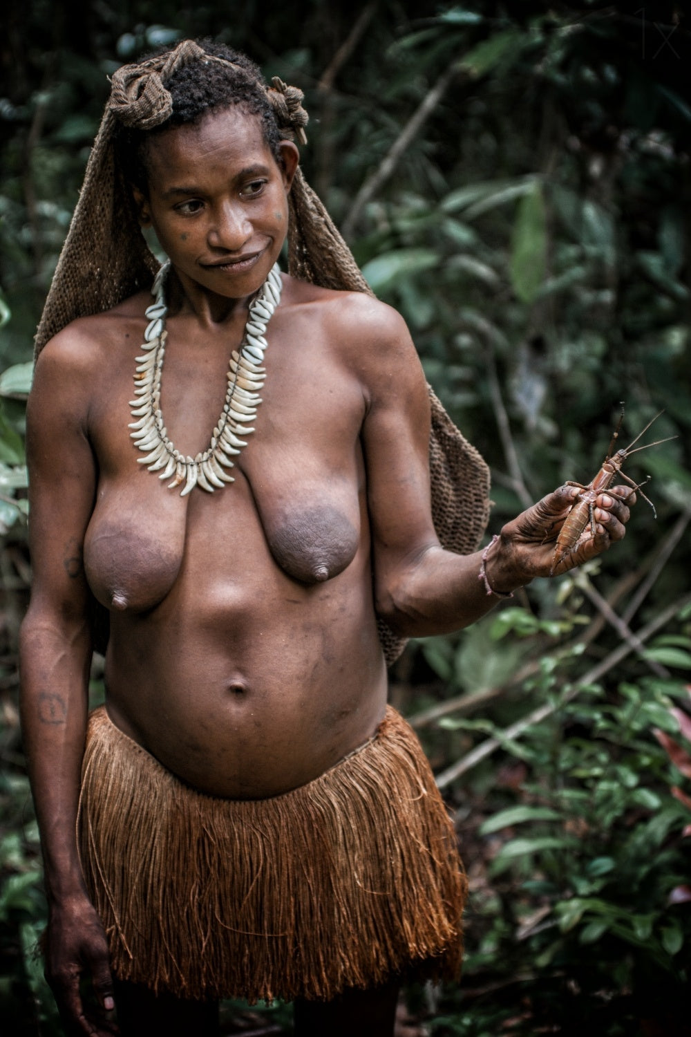 korowai: life of the tree people #2 Poster och Canvastavla