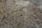 Tex Surface S27 Poster och Canvastavla