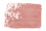 Red Tree Foliage Silhouette Poster och Canvastavla