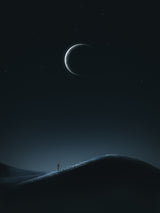 light and silence Poster och Canvastavla