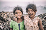 Friends from the dumpyard Poster och Canvastavla