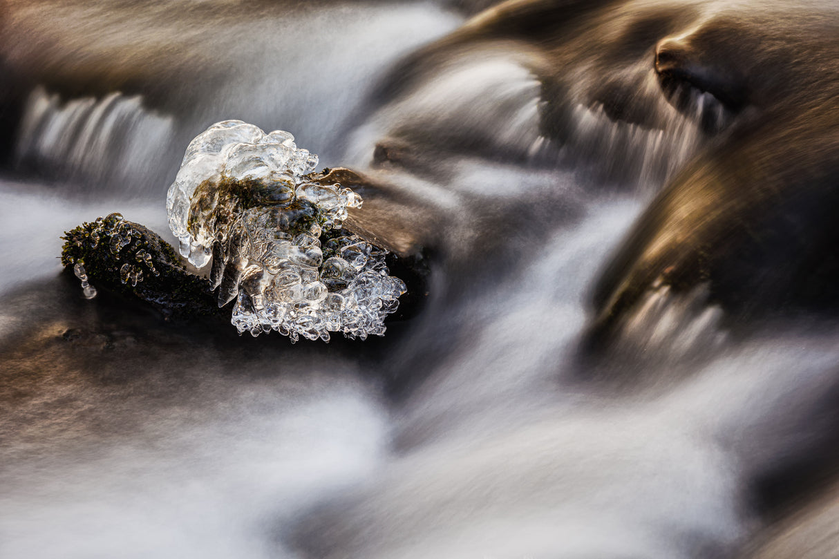 Water and ice Poster och Canvastavla