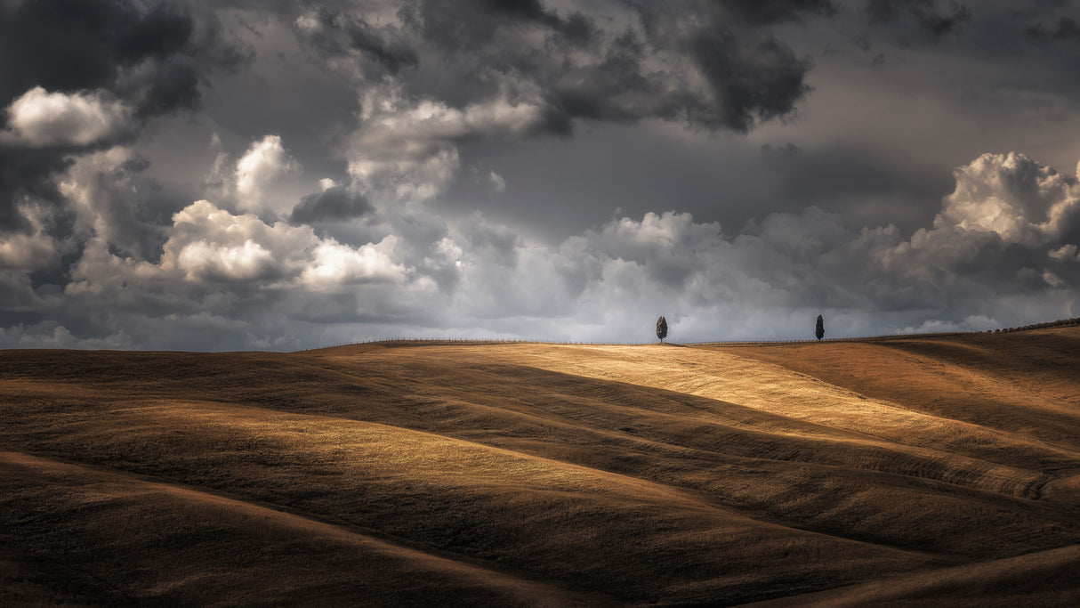 As the Sun Kisses the Sky Poster och Canvastavla