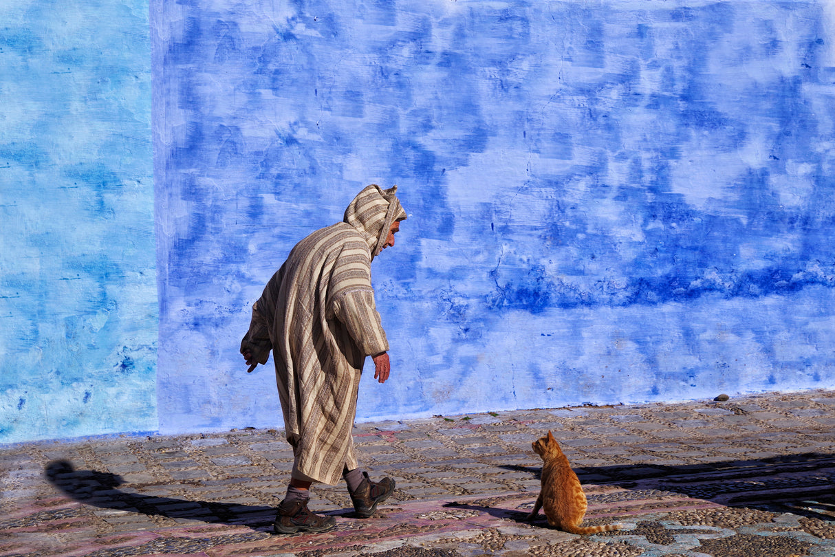 A man talking with a cat Poster och Canvastavla