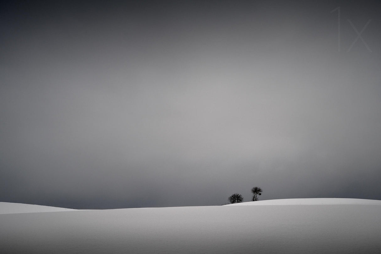 Winter minimal Poster och Canvastavla