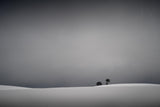 Winter minimal Poster och Canvastavla