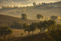 Autumn mists Poster och Canvastavla
