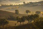 Autumn mists Poster och Canvastavla
