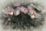 charm of nature Poster och Canvastavla
