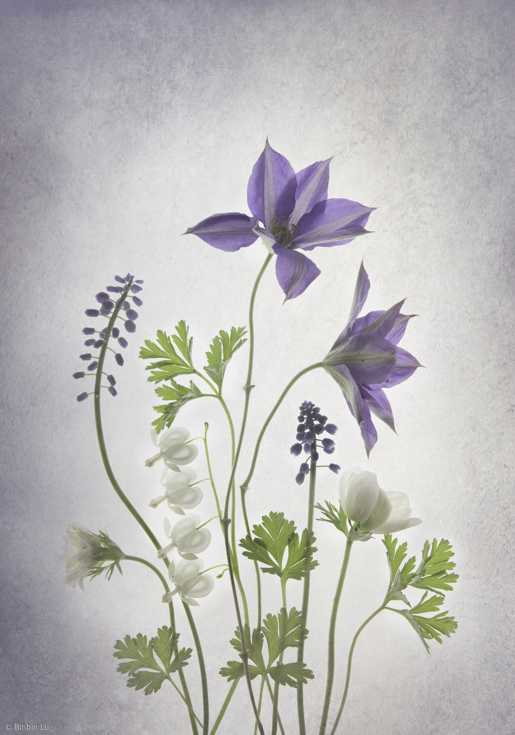 Spring Poster och Canvastavla