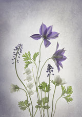 Spring Poster och Canvastavla
