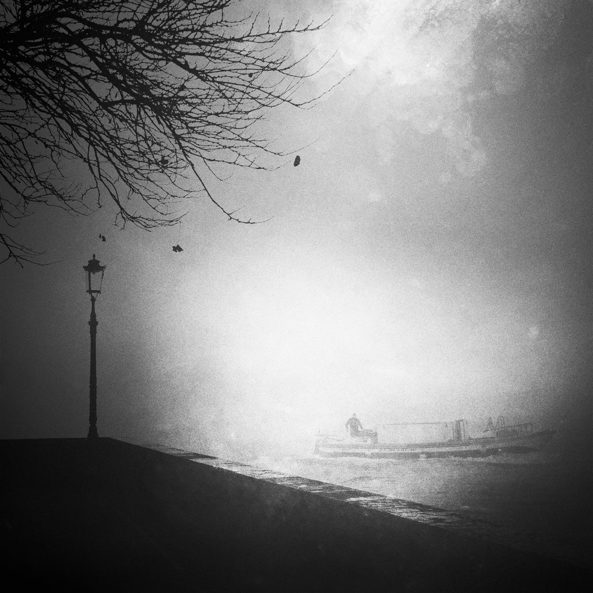 In a Mist Poster och Canvastavla