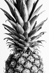 Pinapple Black &amp; White 03 Poster och Canvastavla