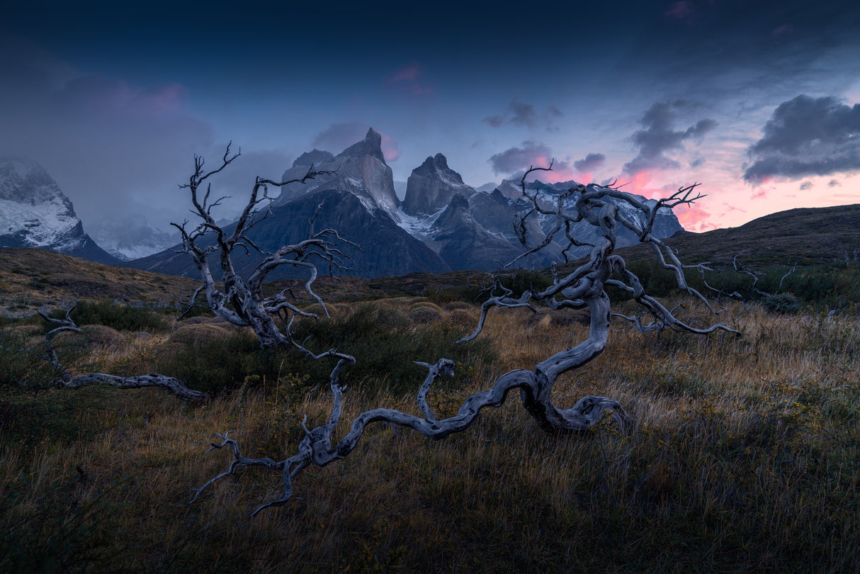 Torres del Paine Poster och Canvastavla