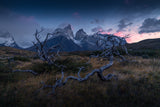 Torres del Paine Poster och Canvastavla