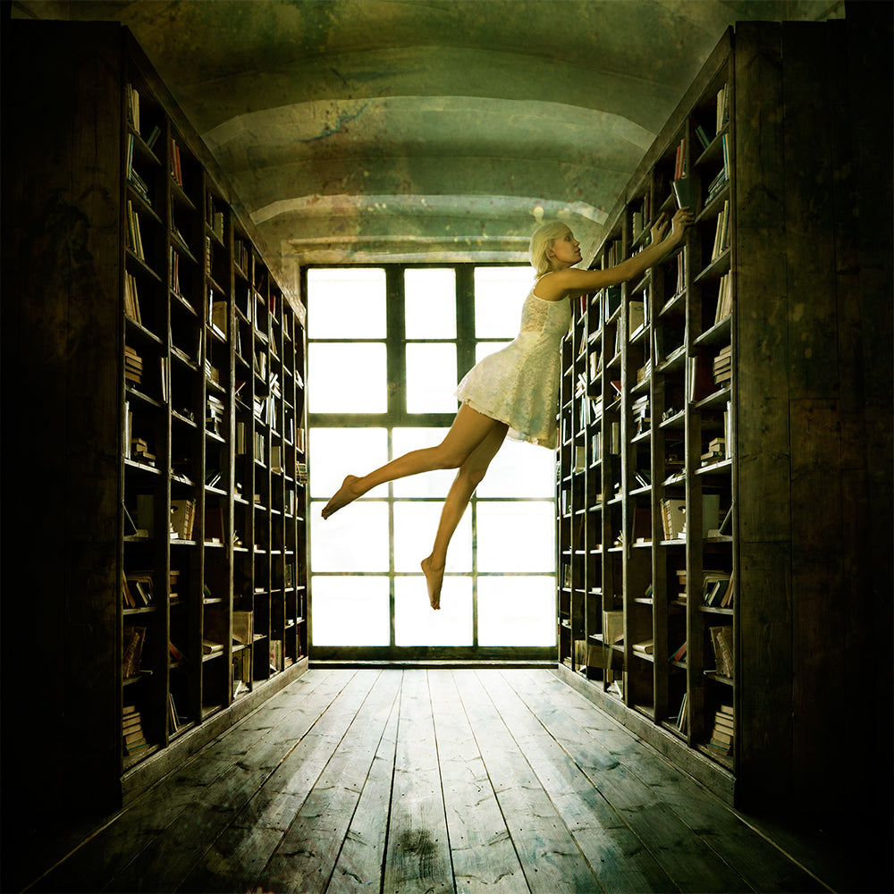 In The Library Poster och Canvastavla