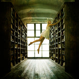 In The Library Poster och Canvastavla