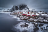 winter Lofoten islands Poster och Canvastavla