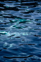 Water 6 Poster och Canvastavla