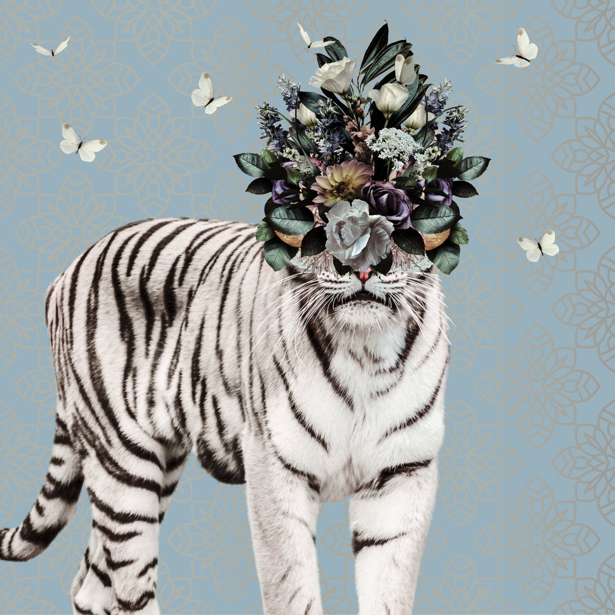 Spring Flower Bonnet On White Tiger Poster och Canvastavla
