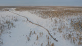 Nenets caravan on the move II Poster och Canvastavla