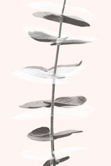 Eucalyptus Creative 11 Poster och Canvastavla