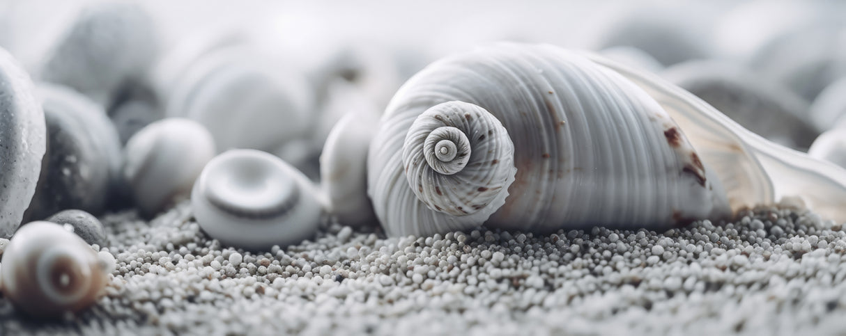 Beach Impressions No 20 Poster och Canvastavla