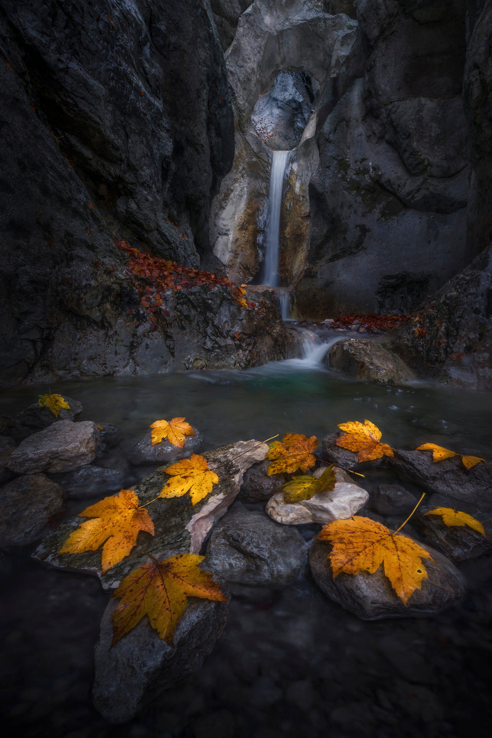 Autumn leaves in the gorge... Poster och Canvastavla