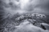 Mountain Top Poster och Canvastavla